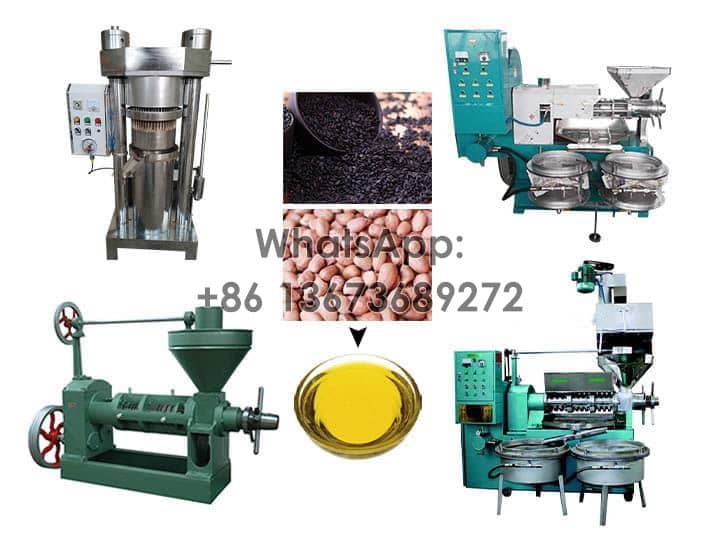 Oil Press Machine | Oil Extraction Machine