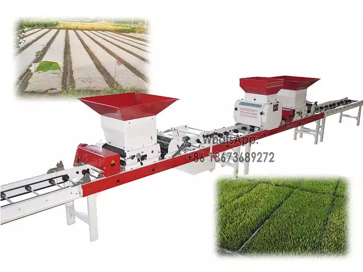 Automatic Paddy Rice Nursery Seedling Machine